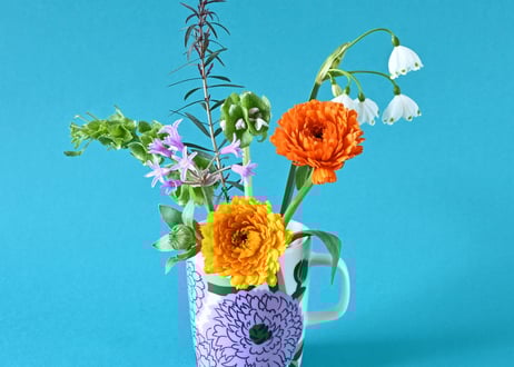 お試し定期便[S]