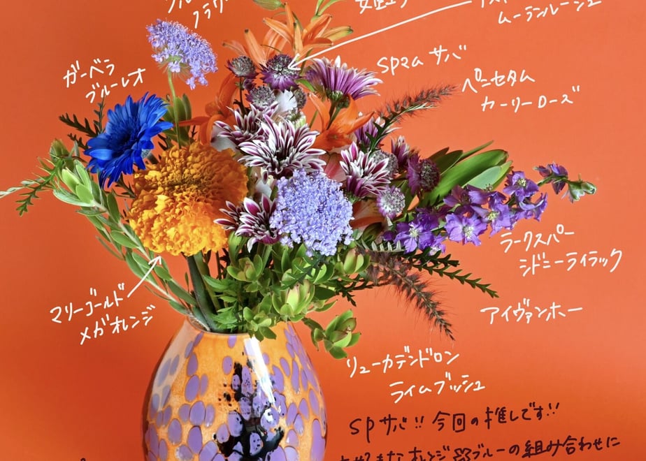 649d4ef7b21d39002b13ef16