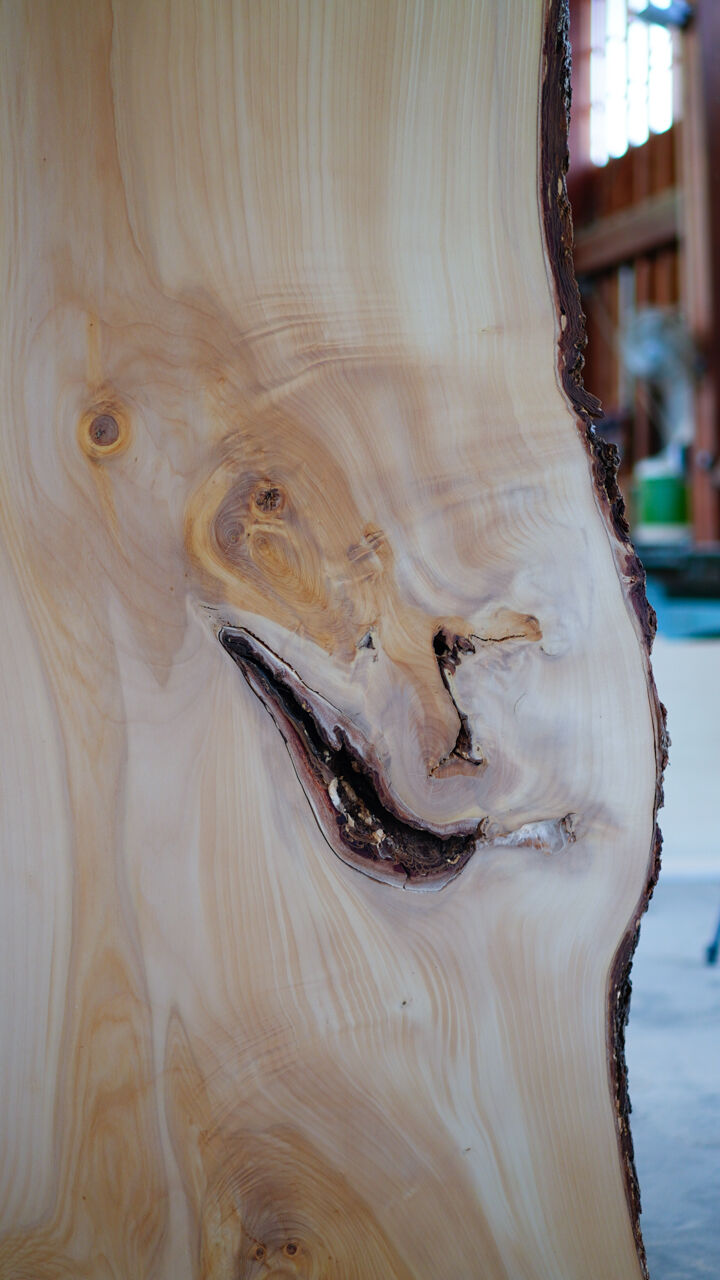 イチョウ一枚板　希少❗️ 001イチョウの一枚板 | Tanzen Makers Shop
