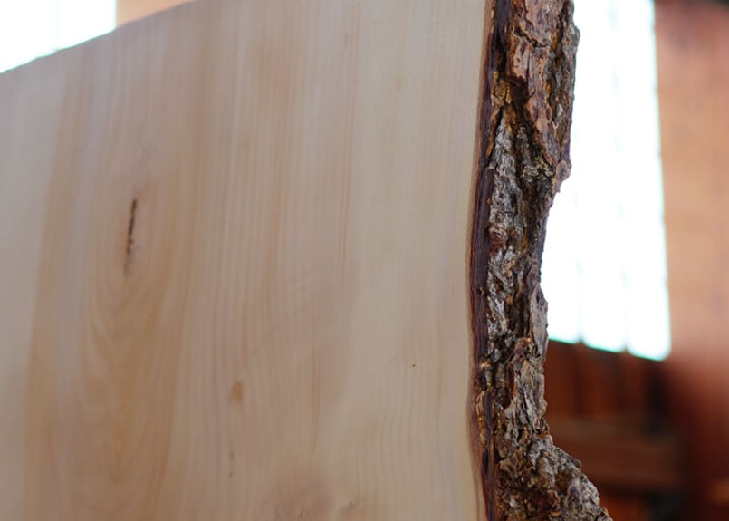 001イチョウの一枚板 | Tanzen Makers Shop