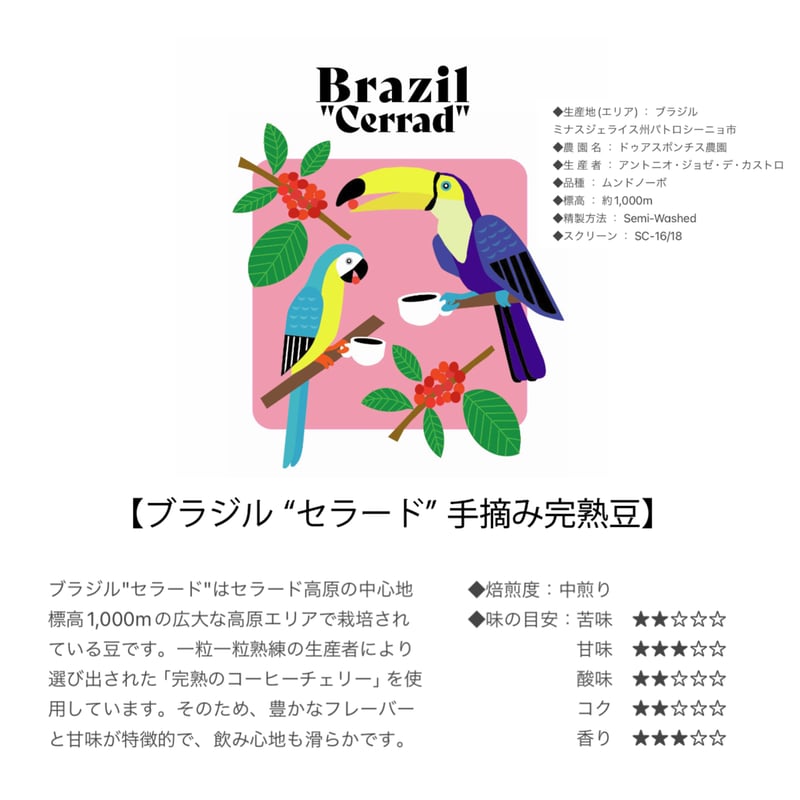 オールカラー版 Coffee―コーヒー味覚管理の実際★書込無し e31034636c0cc81f05eb2ec4a28b24