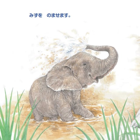 むれを みちびく 『ゾウの じょおうさま』