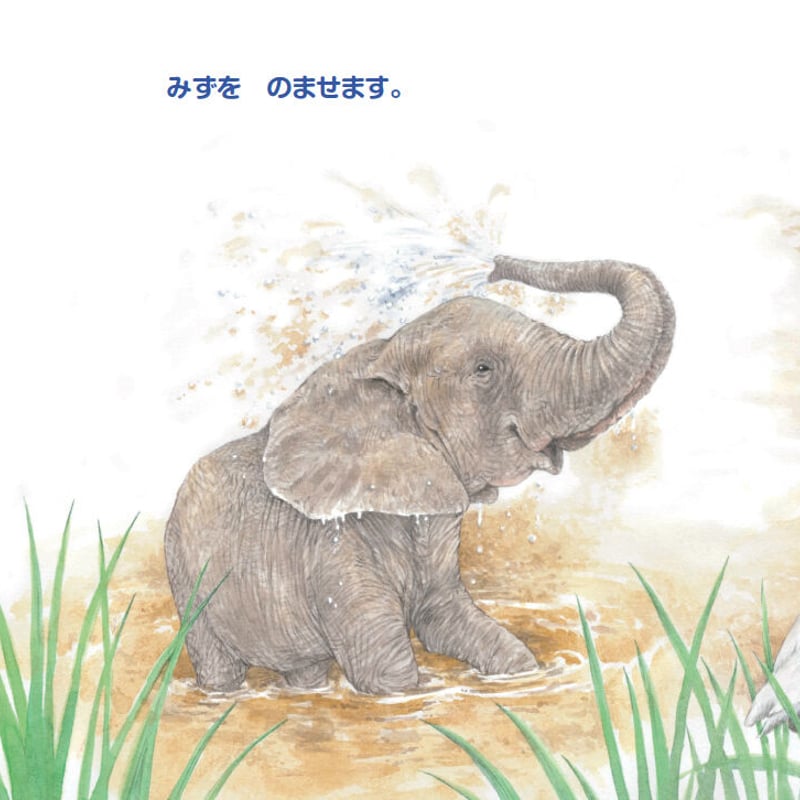 「ゾウ」の絵画❗早いもの勝ち❗ ゾウ」の絵画❗早いもの勝ち❗ 🐘ショウ🦒 (@shoanimalzoo) / X
