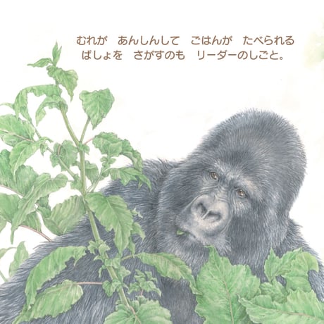 むれを みちびく 『ゴリラの おうさま』