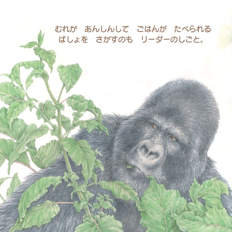 ゴリラさま♡ むれを みちびく 『ゴリラの おうさま』 | imagination + store