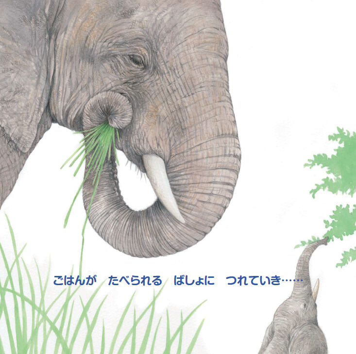 fit=scale-down,w=1200