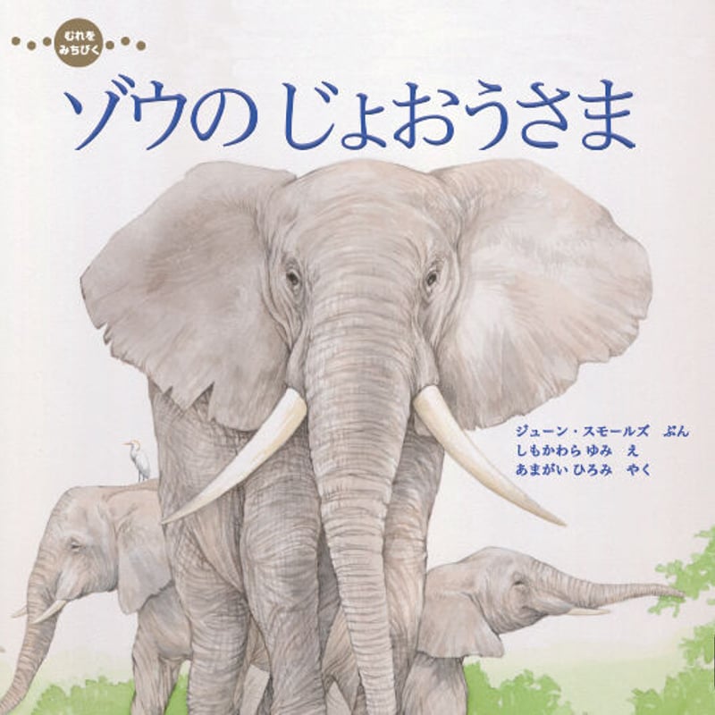 むれを みちびく 『ゾウの じょおうさま』 | imagination + store
