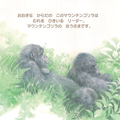 むれを みちびく 『ゴリラの おうさま』