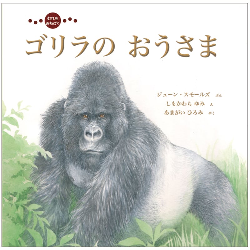 むれを みちびく 『ゴリラの おうさま』 | imagination + store