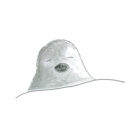 きみが うまれた ひ