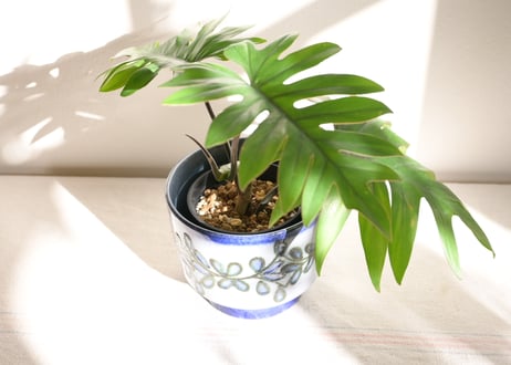FAT LAVA Planter “Strehla 615/3”