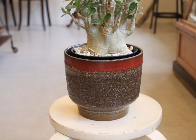 FAT LAVA Planter “Strehla 615/3” | nord - ノルト - FAT LAVA Planter “Strehla 615/3” | nord - ノルト -