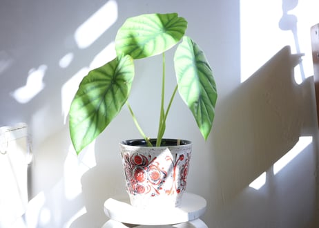 FAT LAVA Planter “Ü-Keramik 174/17”
