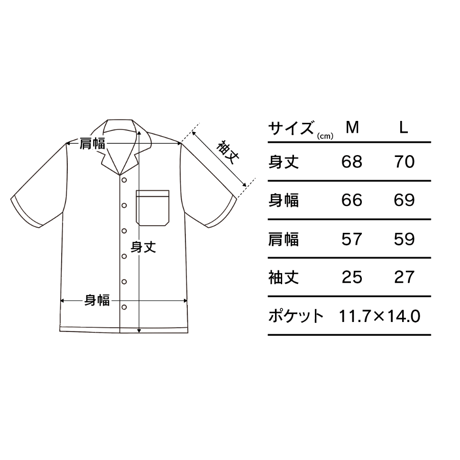 ピカ銃アロハⅡ