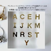 イニシャル追加オプション