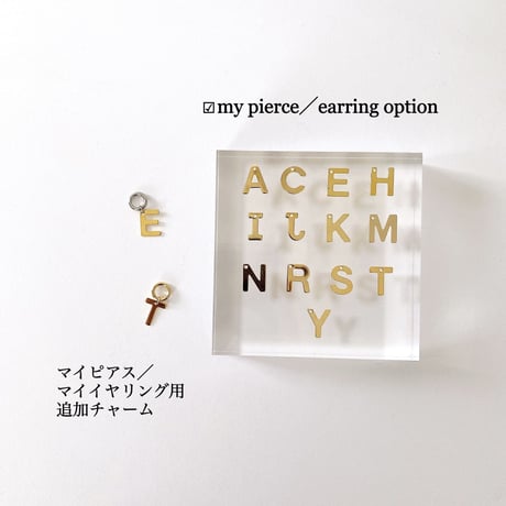 イニシャル追加オプション