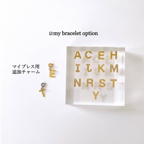イニシャル追加オプション