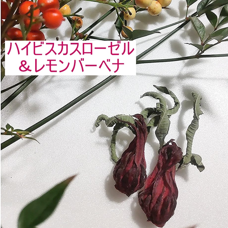 素材のうまみ！ハイビスカスローゼル華やぎ（ローゼル＆レモンバーベナ