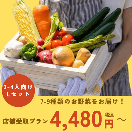 旬の無農薬野菜おまかせセット（L） 【3-4人向け/7～9種類】