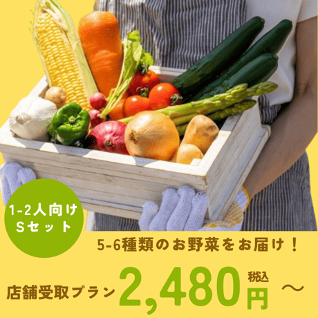 旬の無農薬野菜おまかせセット（S） 【1-2人向け/5～6種類】