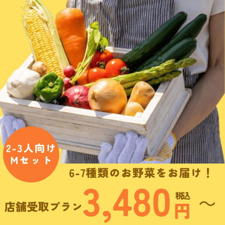 旬の無農薬野菜おまかせセット（M）【2-3人向け/6～7種類】