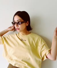 T262-ST03 / cropped embroidery tee