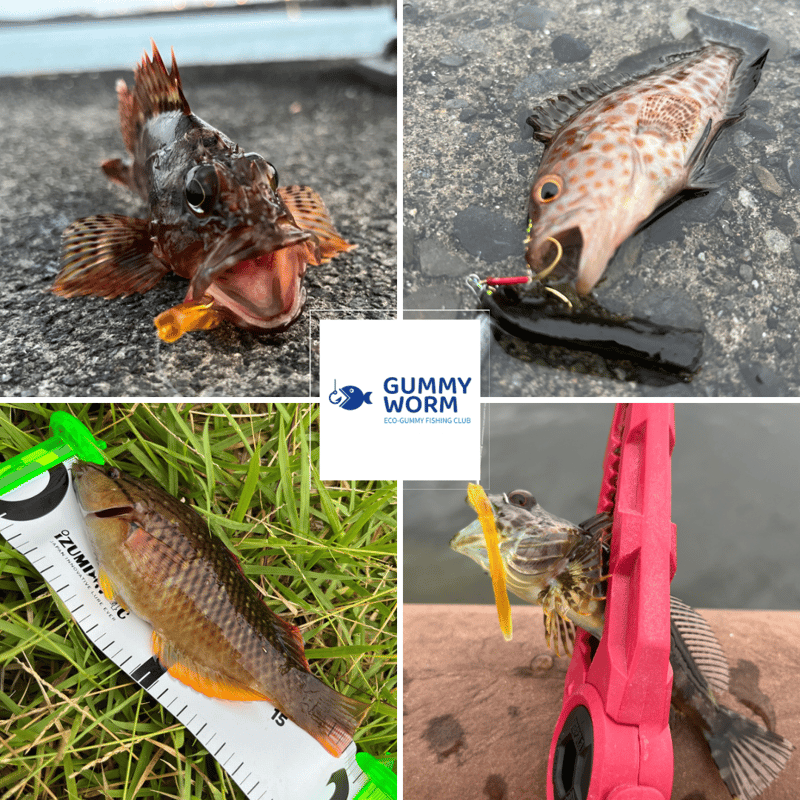 ちょい投げ『ぎょっち』(10本入り)(15本入り) 渓流、海、湖、野池 etc