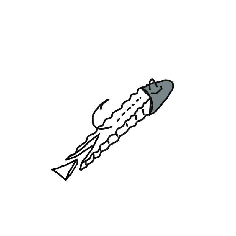 ワーム各種 41Po2D+bwbL._UF350,350_QL50_.jpg