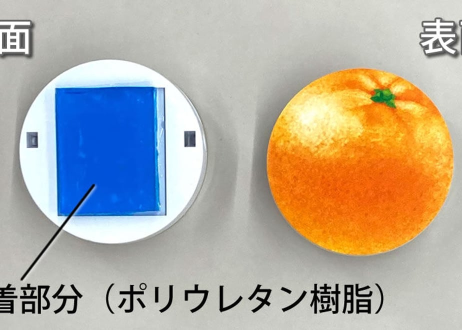 63f8357ce2f3b6114eb58f30