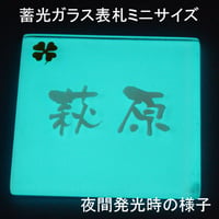 （hyo072）ガラス表札 蓄光 落ちない文字 自己発光 永久発光 光る オリジナル ガラス 彫刻 二世帯