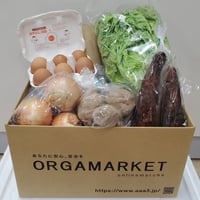【金曜発送】安心安全 野菜セット〔定番根菜・卵〕クール便