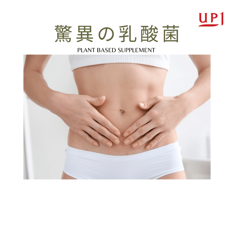 5%割引【定期便】乳酸菌 30包入り | taion37.shop