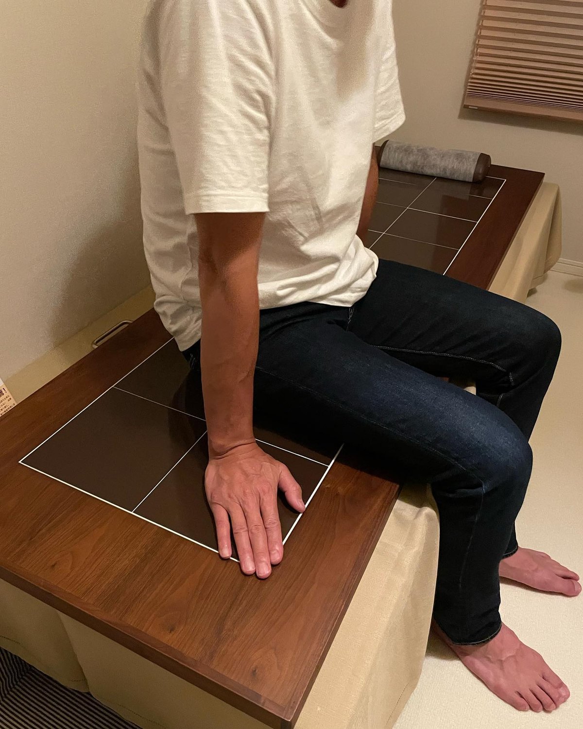 陶板浴 全身サイズ ブラウン・ウッド 【安心の3年間保証】 | taion37.shop