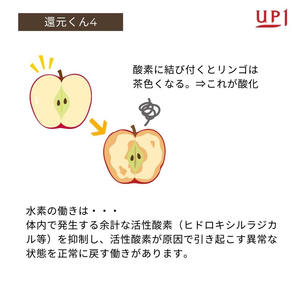 還元くん4 850ccボトル1本 【OJIKA Industry正規代理店 還元くん4 850ccボトル1本 【OJIKA Industry正規代理店