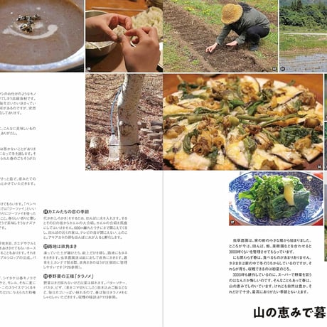 自給知足がおもしろい／わたなべあきひこ著