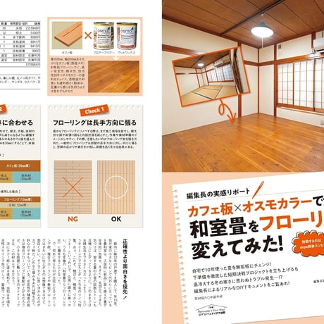 DIYリノベのアイデア図鑑 dopa165号(2026年4月号)