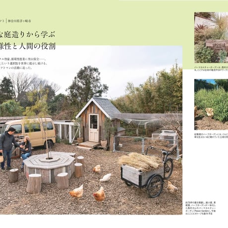 DIYリノベの教科書 dopa147号（2022年4月号）