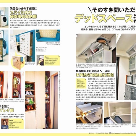 リノベで作る収納 dopa127号（2018年12月号）