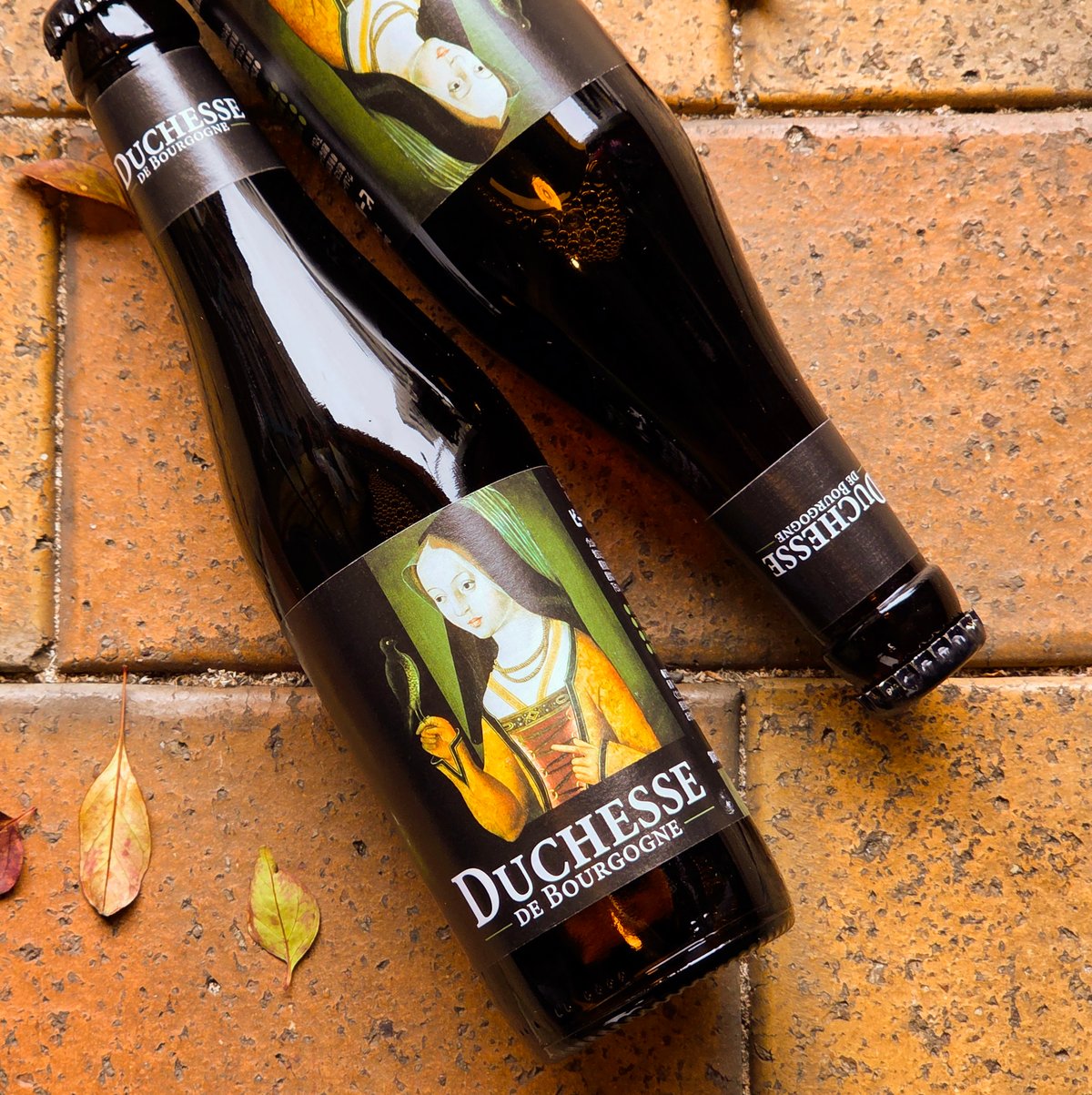 Duchesse de Bourgogne/ドゥシャス・デ・ブルゴーニュ【ヴェルハーゲ
