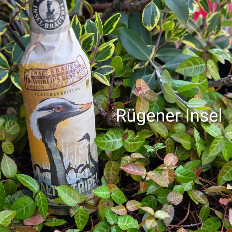 バルティック トリプル/BALTIC TRIPEL【Rugener Insel-Brauere