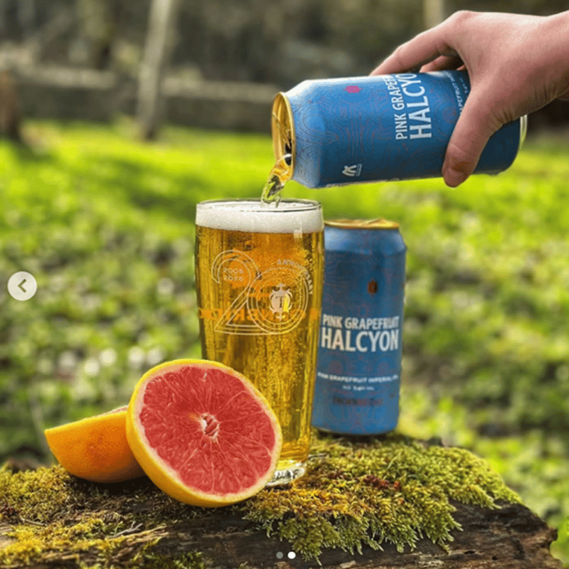 ピンクグレープフルーツ ハルシオン/ PINK GRAPEFRUIT HALCYON