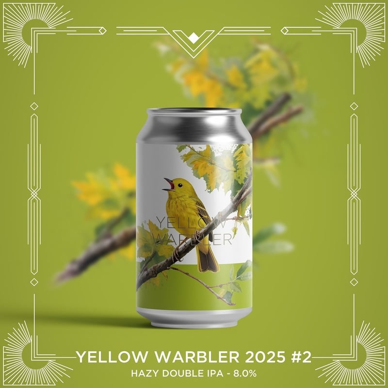 Yellow Warbler 2025 #2 /イエローワーブラー2025セカンドバッチ