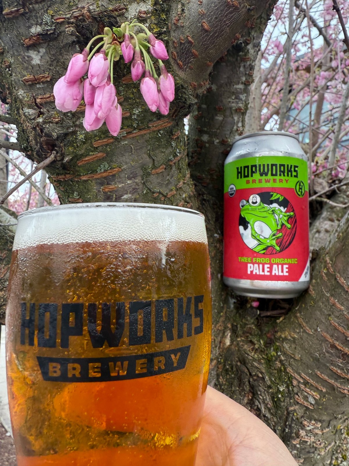TREE FROG ORGANIC PALE ALE/ ツリーフロッグオーガニックペールエール