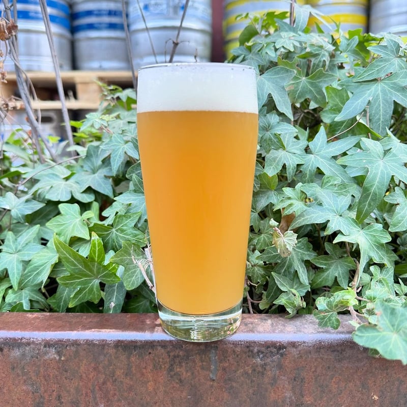 FLASH IN THE PAN/フラッシュ イン ザ パン【スリーズブルー