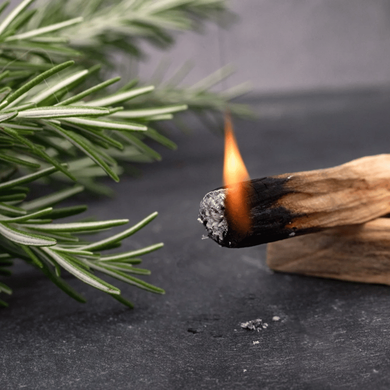 天然木のお香 ペルー産パロサント（4本入） | Pianerottolo