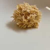 玉ねぎ染め　約10g