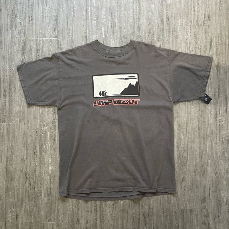 2000s LIMP BIZKIT ヴィンテージ Tシャツ XL GIANT Vintage Giant Limp Bizkit 2000 Anger Management Tour Shirt