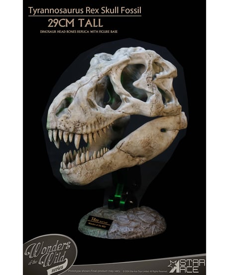 スターエーストイズ　ワンダーズ オブ ザ ワイルド ティラノサウルス・レックス スカル 化石　塗装済完成品