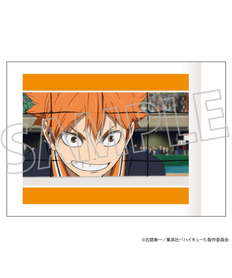 劇場版ハイキュー!! ゴミ捨て場の決戦 ぱしゃこれ 10個入り1BOX