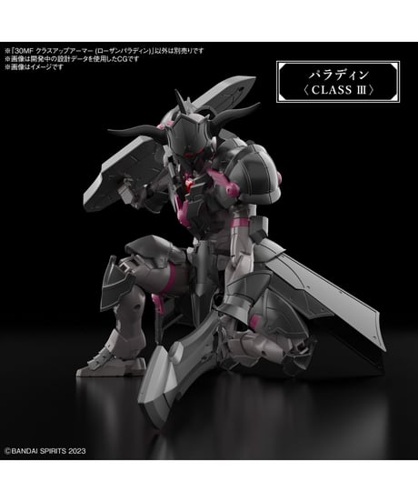 30MF クラスアップアーマー (ローザンパラディン)